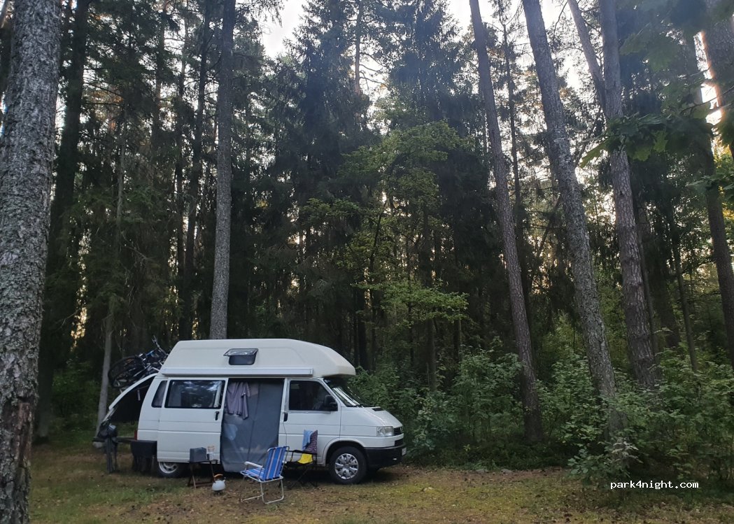 (60330) Paupys - Unnamed Road — foto 3