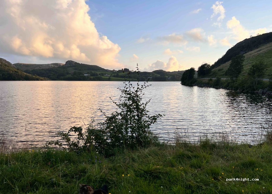 (4342) Undheim - Sekundær Fylkesveg 201 — foto 4