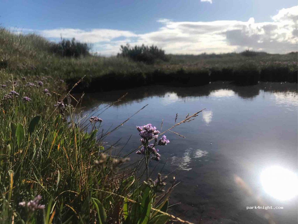 (PE36 6NH) Thornham - 45 The Green — foto