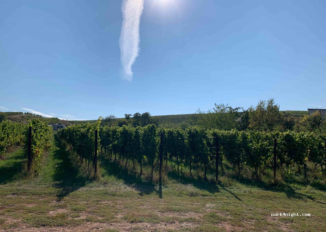 Weingut Hahn-Hof Albersweiler St.Johann — foto
