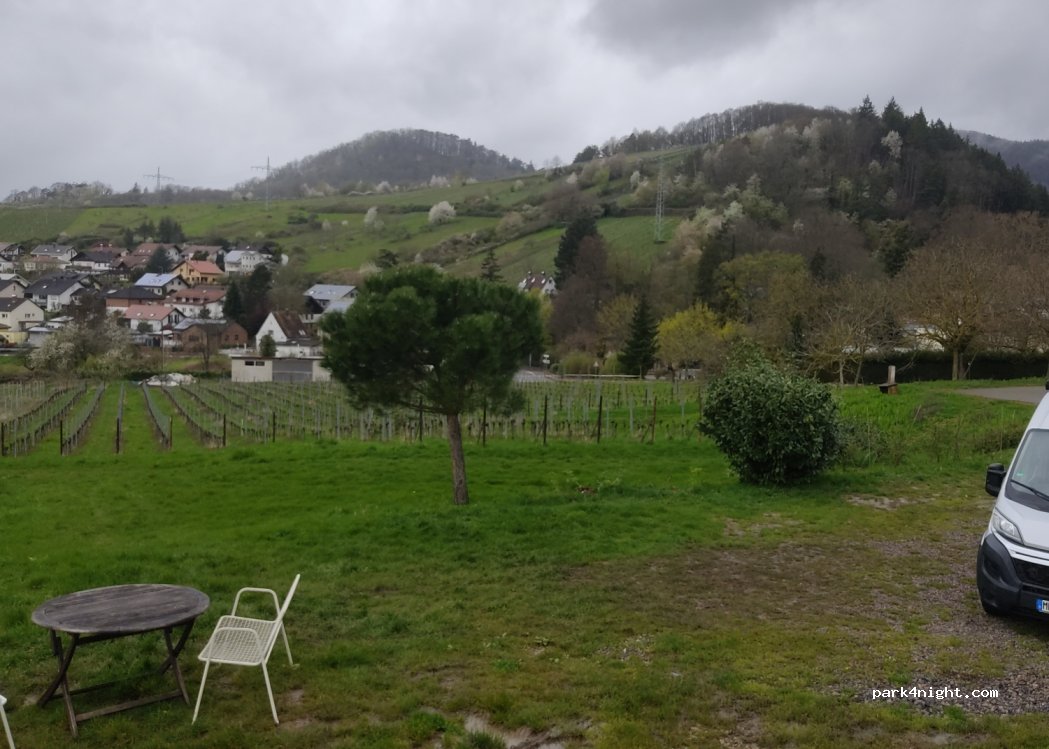Weingut Hahn-Hof Albersweiler St.Johann — foto 3