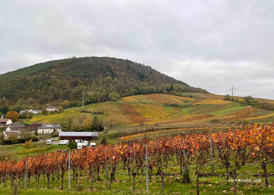 Weingut Hahn-Hof Albersweiler St.Johann — foto 4