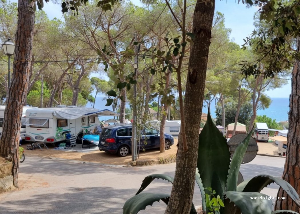 Camping Treumal — foto 4