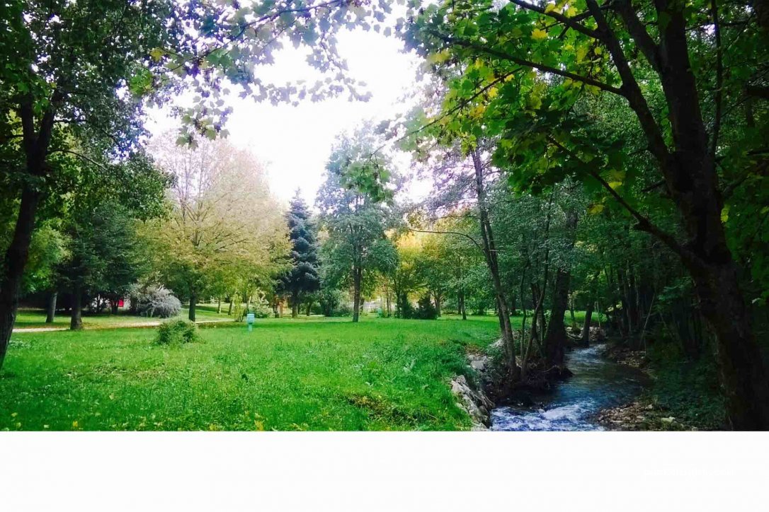 Camping municipal La Duzonne** — foto 2