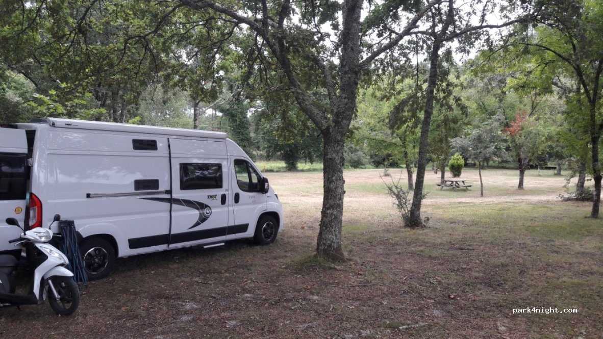 (40420) Vert - Unnamed Road — foto