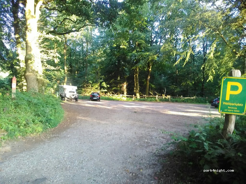 (24983) Handewitt - 12 Handewitt-Busch — foto
