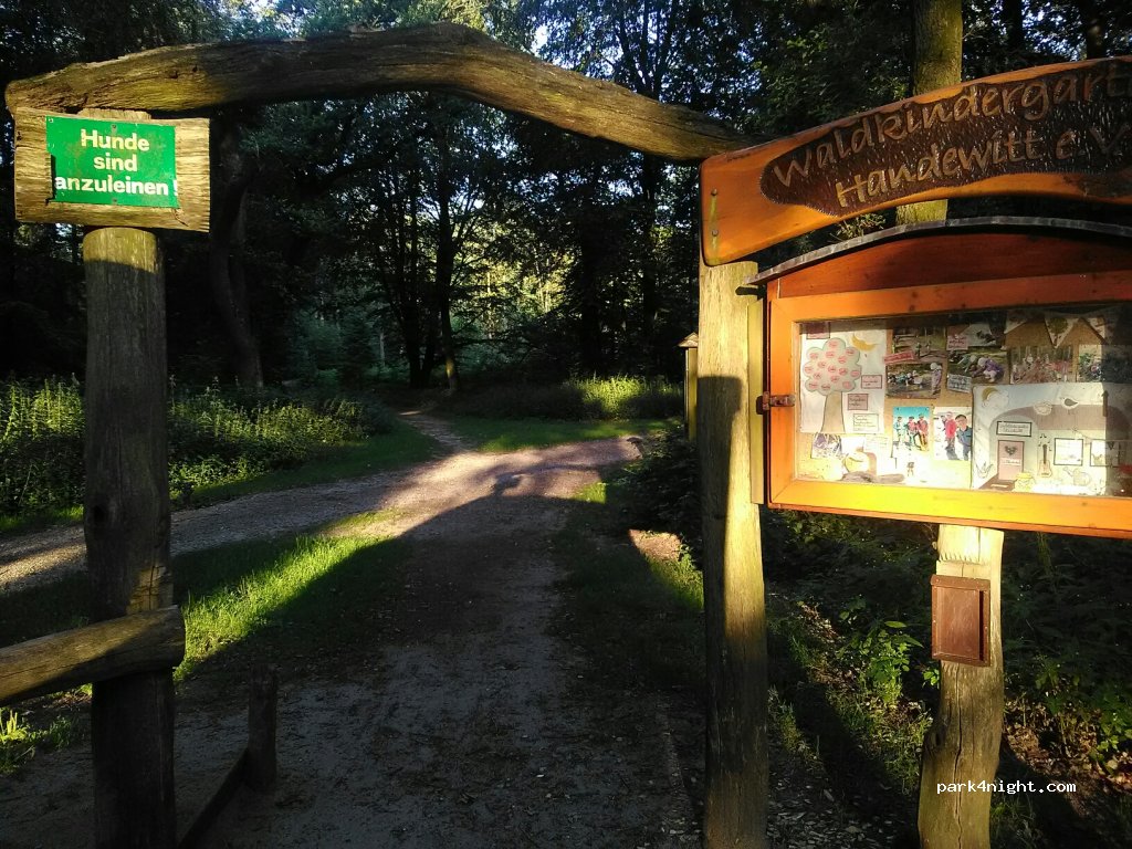 (24983) Handewitt - 12 Handewitt-Busch — foto 3