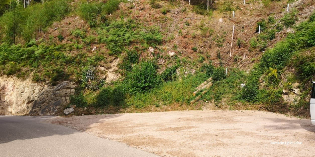 (78132) Hornberg - 1 Burgstraße — foto