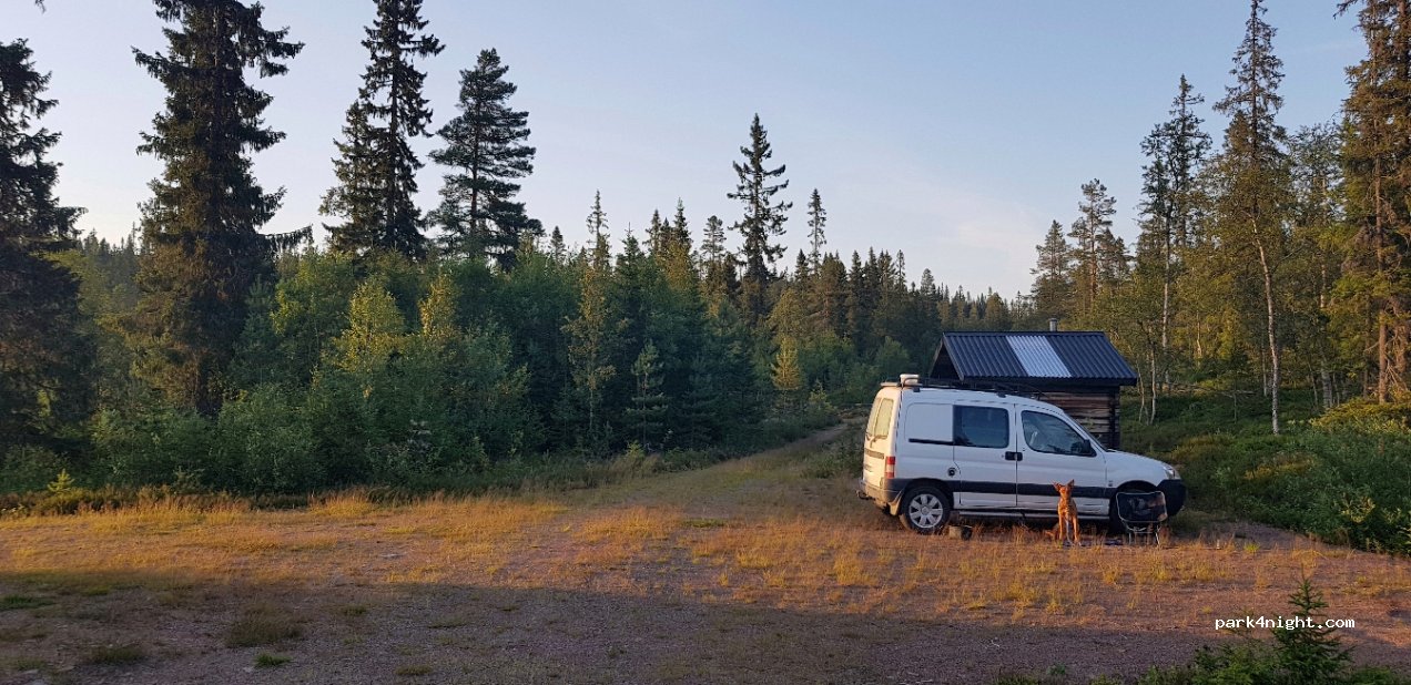(796 99) Älvdalen - Unnamed Road — foto