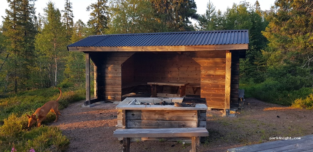 (796 99) Älvdalen - Unnamed Road — foto 2