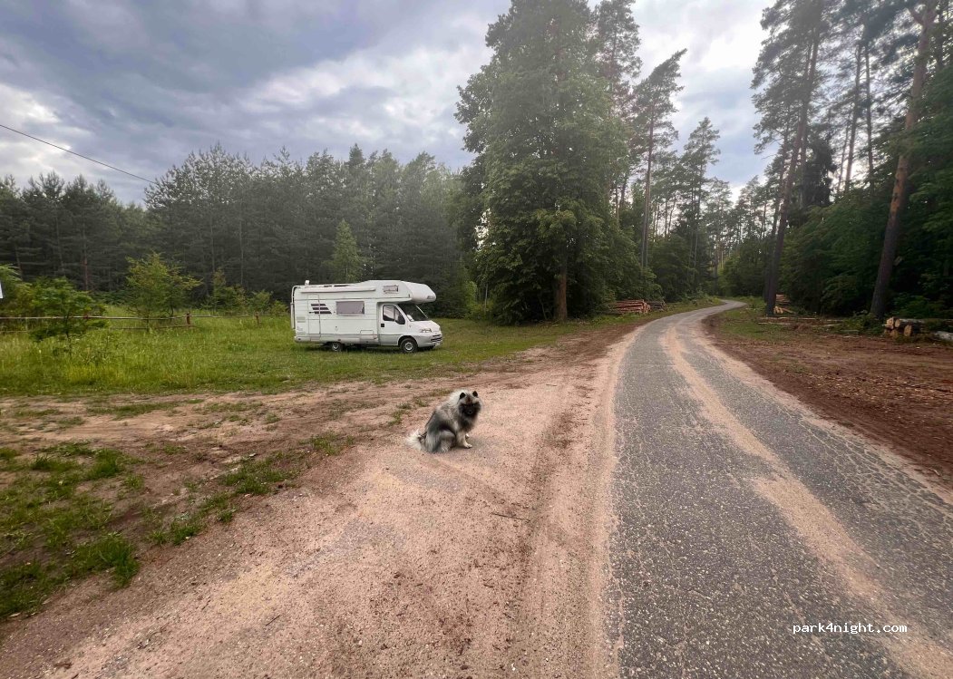 (11-731) Borowe - Unnamed road — foto 4