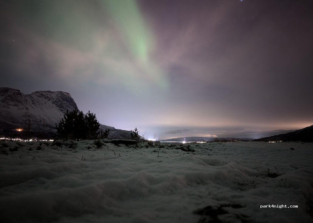 (8517) Narvik - 5 Tyttebærvik / Hergot — foto 5