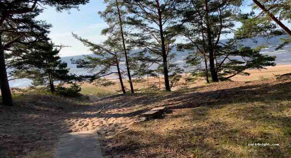 (41008) Kauksi - — foto 3