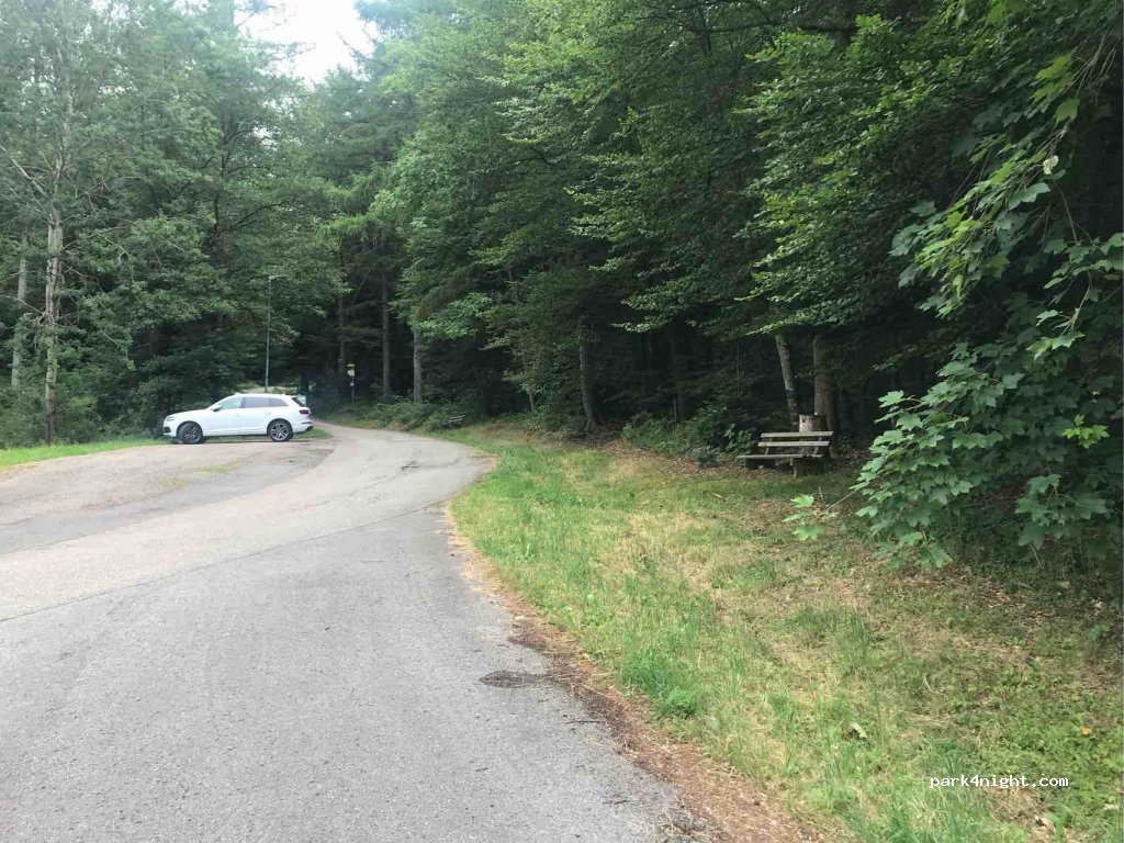 (72270) Baiersbronn - 49 Buhlbachsaue — foto 2