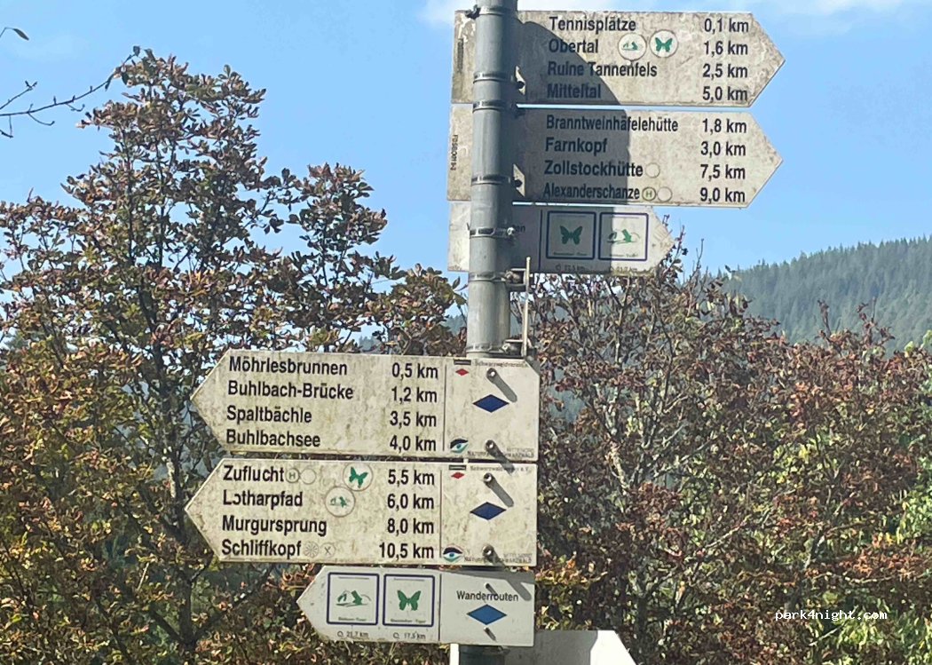 (72270) Baiersbronn - 49 Buhlbachsaue — foto 4