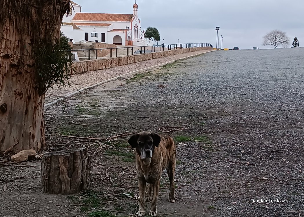 (21550) Puebla de Guzmán - Unnamed Road — foto 3