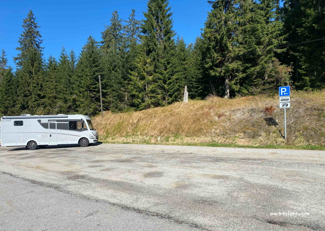 (94089) Pleckensteiner Wald - FRG13 — foto