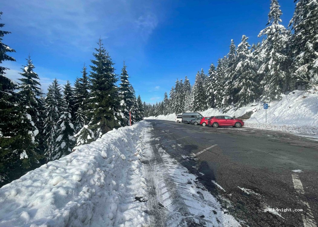 (94089) Pleckensteiner Wald - FRG13 — foto 2