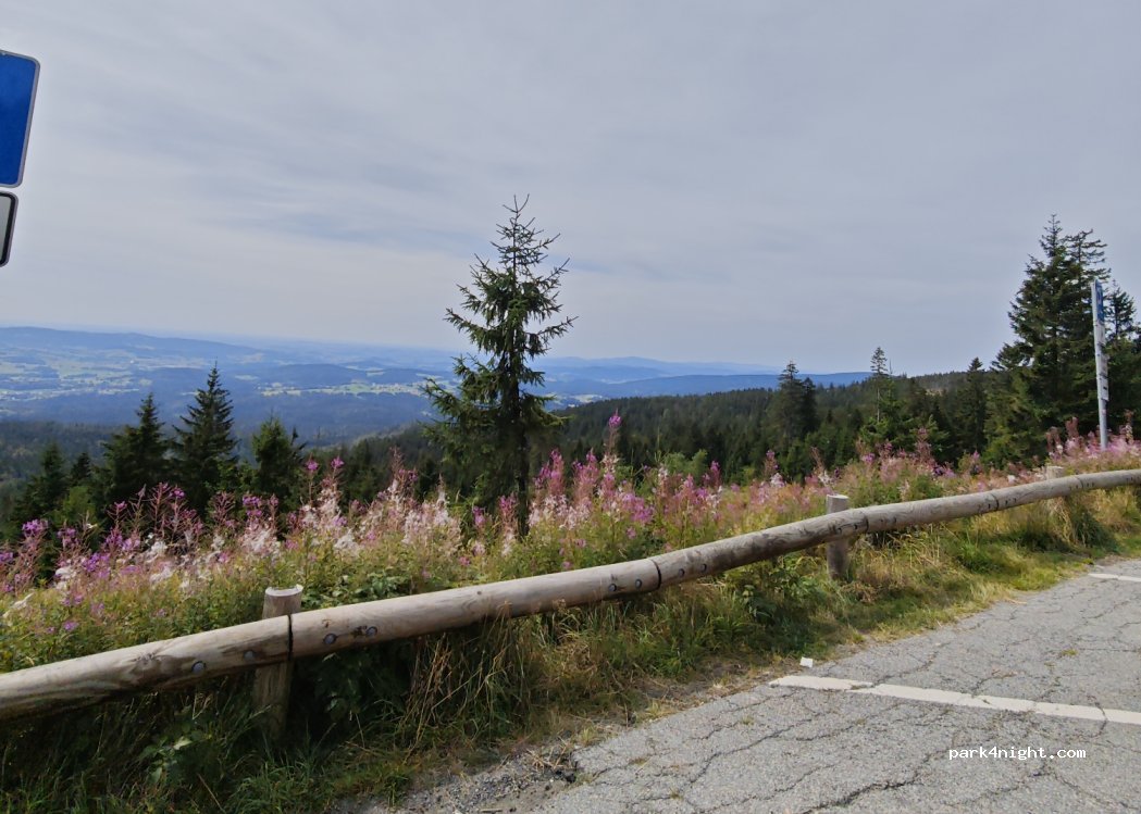 (94089) Pleckensteiner Wald - FRG13 — foto 3