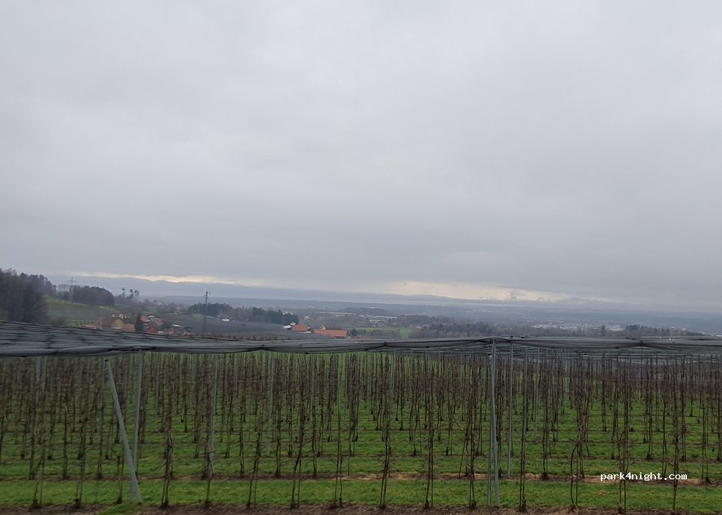 (88069) Tettnang - K7719 — foto 4