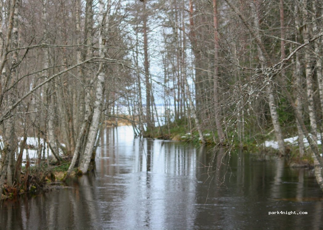 (69440) Niskankorpi - 678 Reisjärventie — foto 3