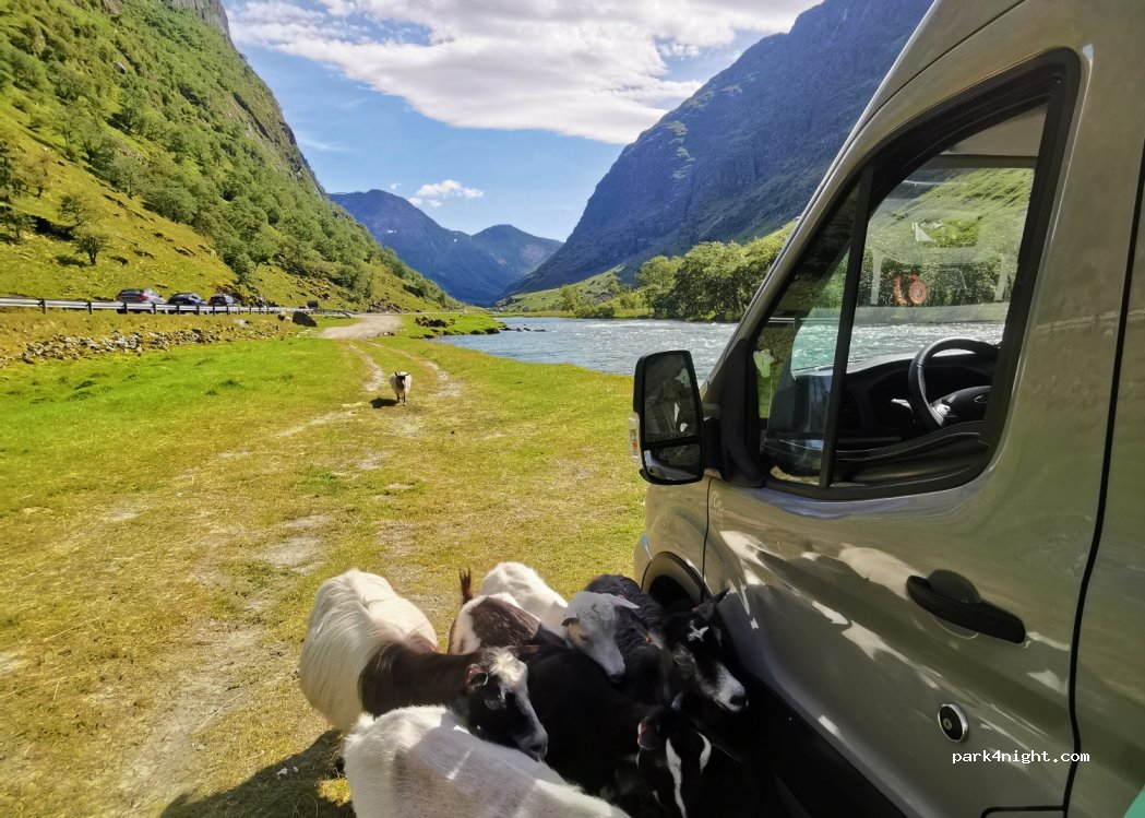 (6843) Jølster - E39 — foto 4