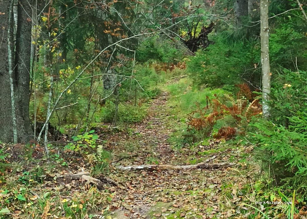 (02880) Kirkkonummi - Tampajantie — foto 2