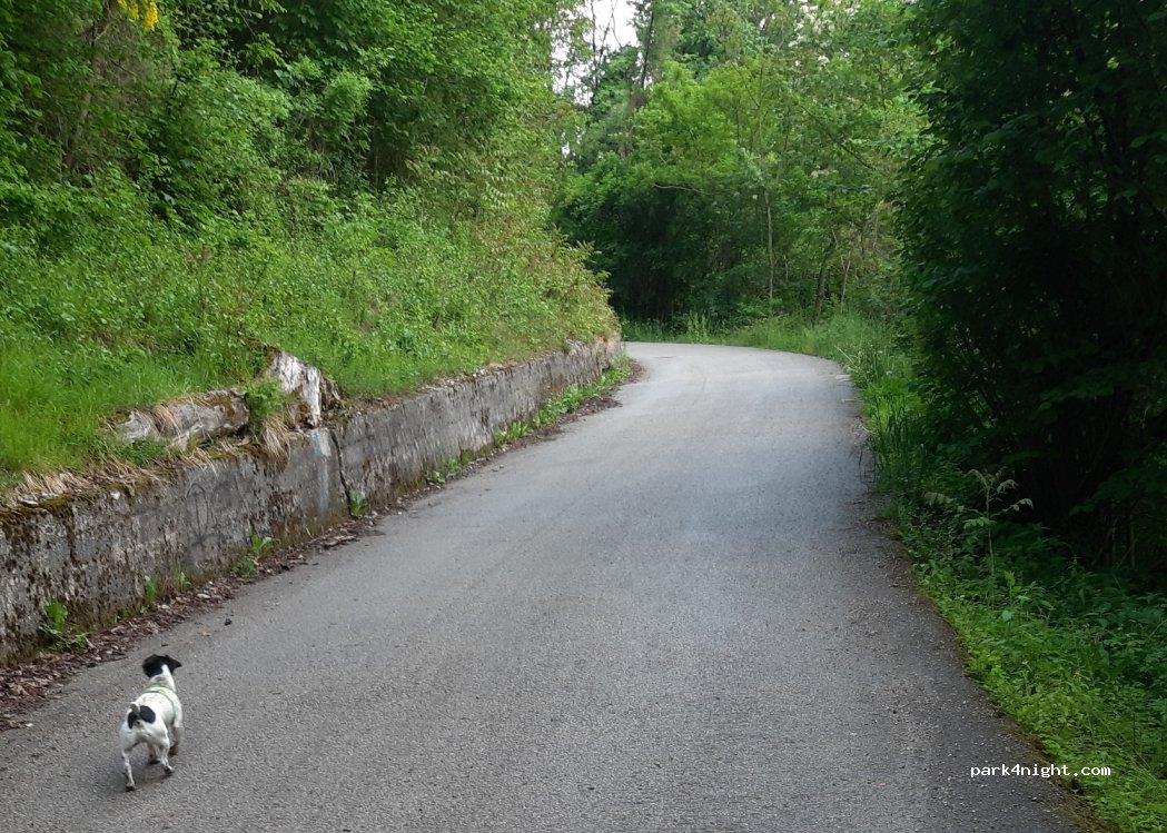 (32014) Ponte Nelle Alpi - Polpet - 14 Via dei Zattieri — foto 3