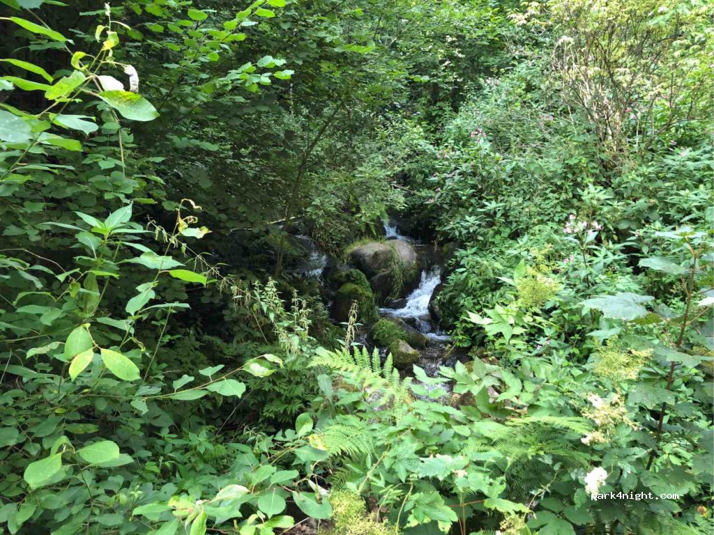 (68380) Muhlbach-sur-Munster - 1 Chemin du Weier — foto 4