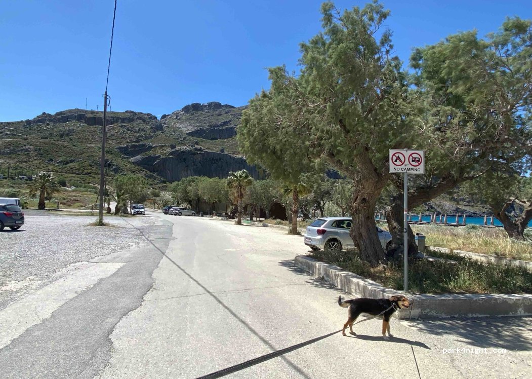 (740 60) Plakias - Ethnarchou Eleftheriou Venizelou — foto 4