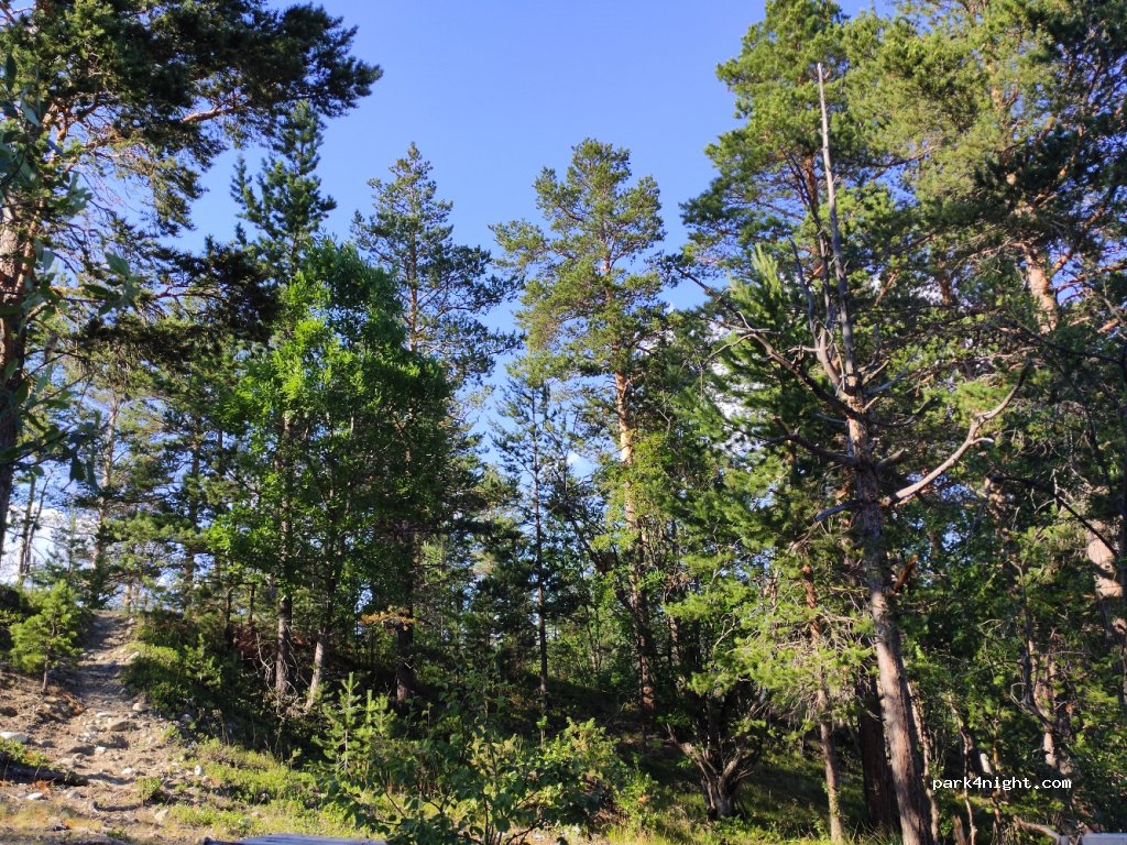 (2667) Lesjaverk - Unnamed Road — foto 2