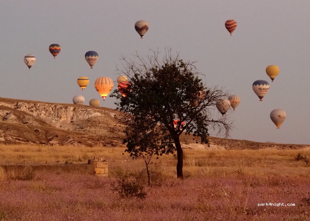 (50500)  - Ürgüp Yolu — foto 2