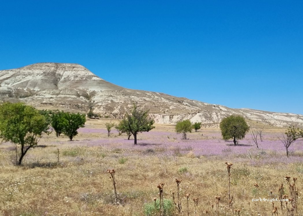 (50500)  - Ürgüp Yolu — foto 3