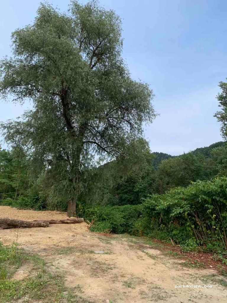 (1000) Dol pri Ljubljani - Unnamed Road — foto 2
