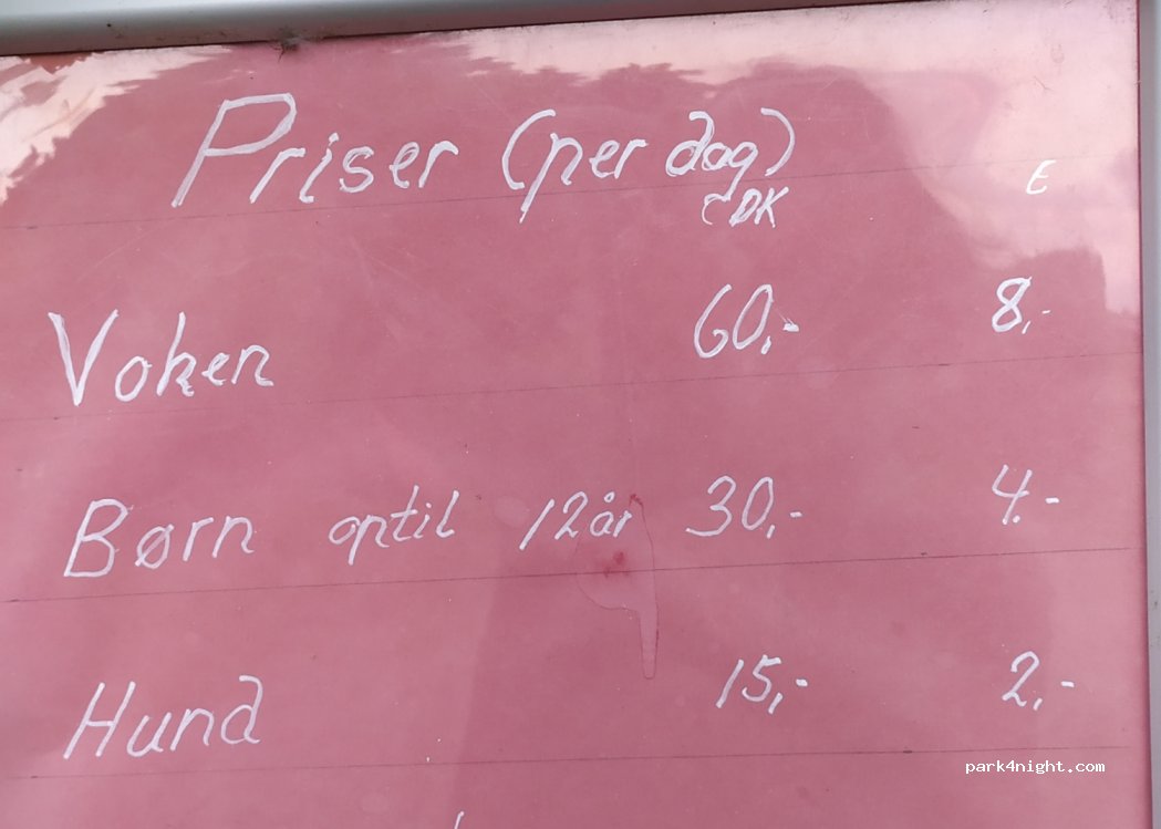 Bilberg Camping — foto