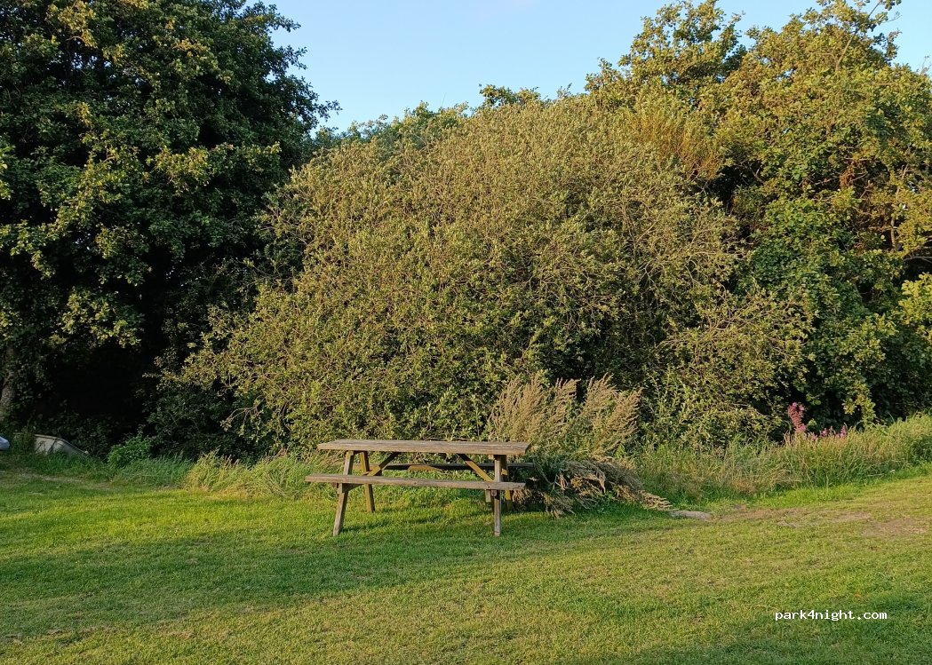 Bilberg Camping — foto 4