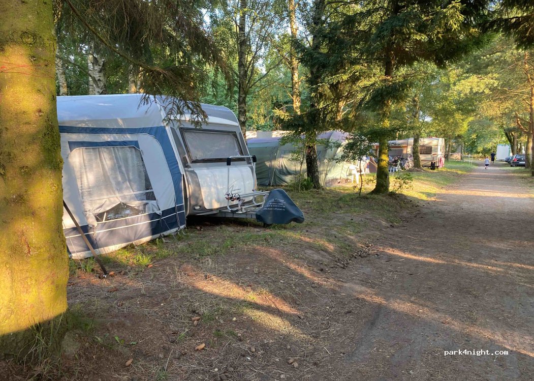 Harcerska baza obozowa Hufca ZHP Łódź - Górna — foto 3