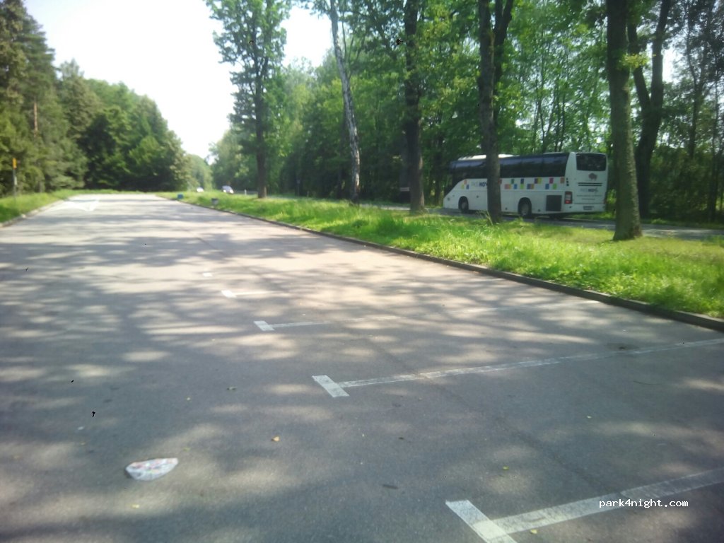 (14-407)  - Droga Wojewódzka 513 — foto 3