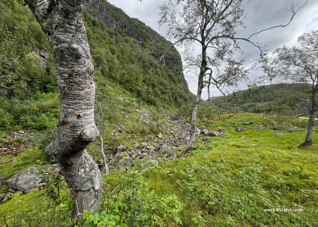 (4200) Sauda - Primær Fylkesveg 520 — foto 3