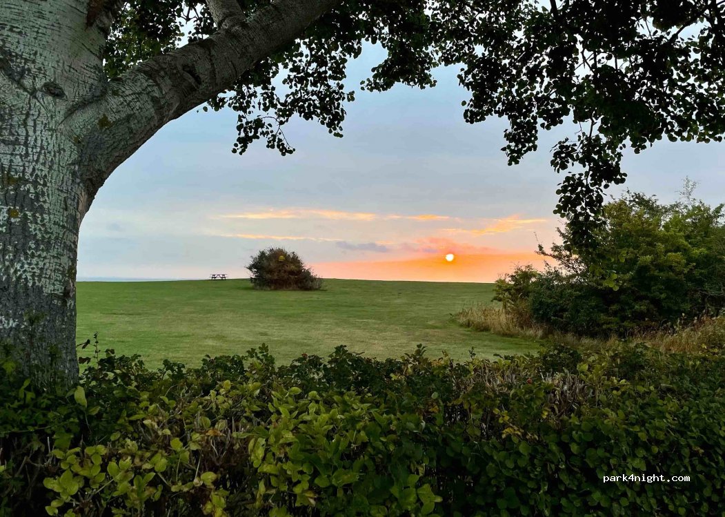 Fynshoved Camping — foto 3