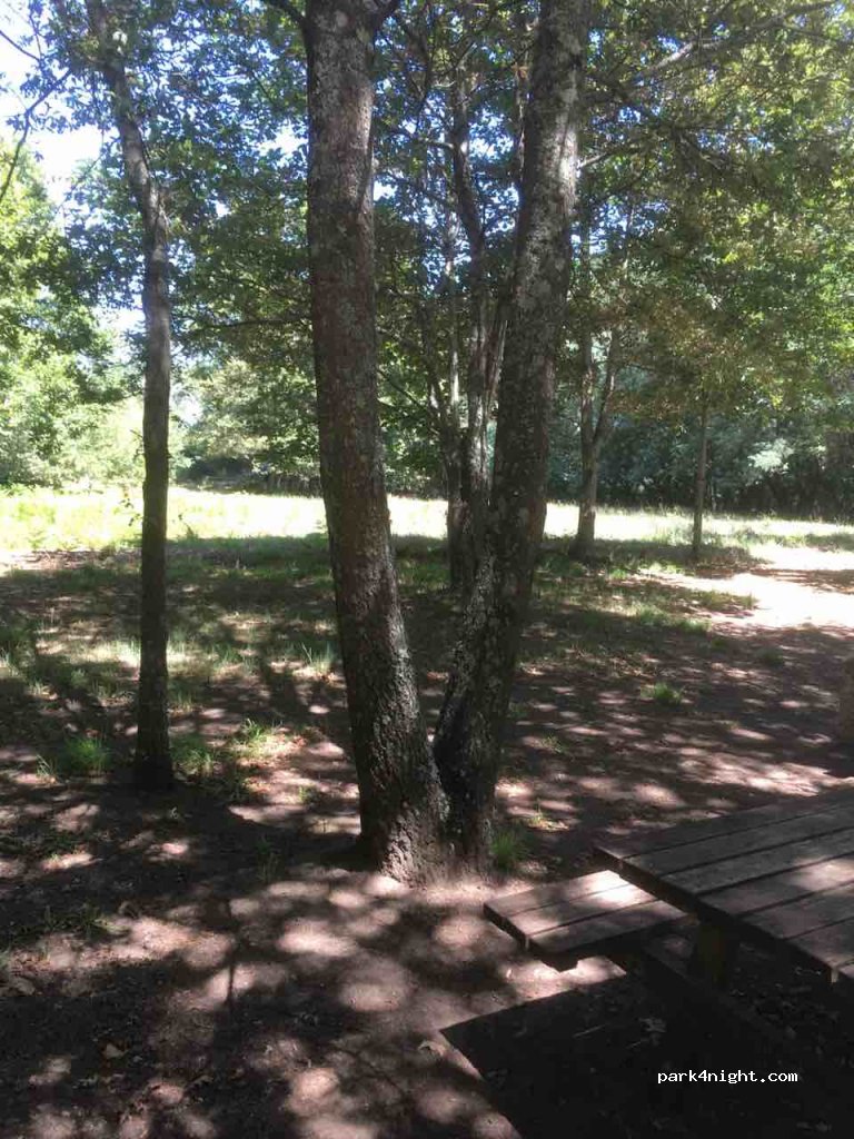 (4890) Celorico de Basto - Unnamed Road — foto 3