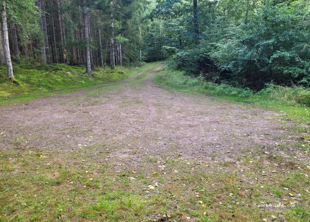 (310 38) Simlångsdalen - Unnamed Road — foto 3