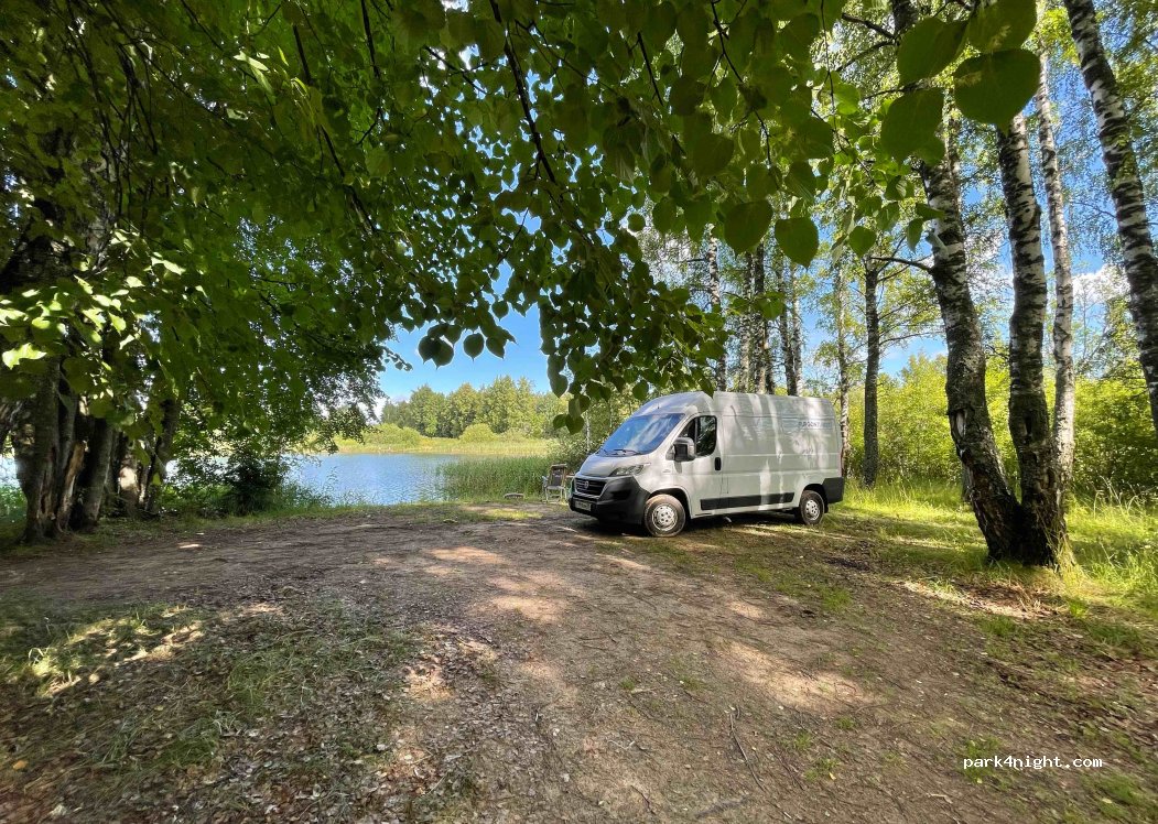 (181371) Pskovskaya - Pushkinogorskoye Shosse — foto 3
