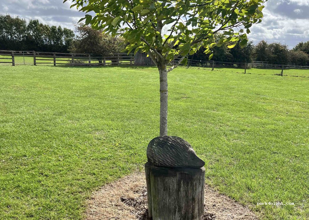 Hedgehogs Retreat campsite — foto 4
