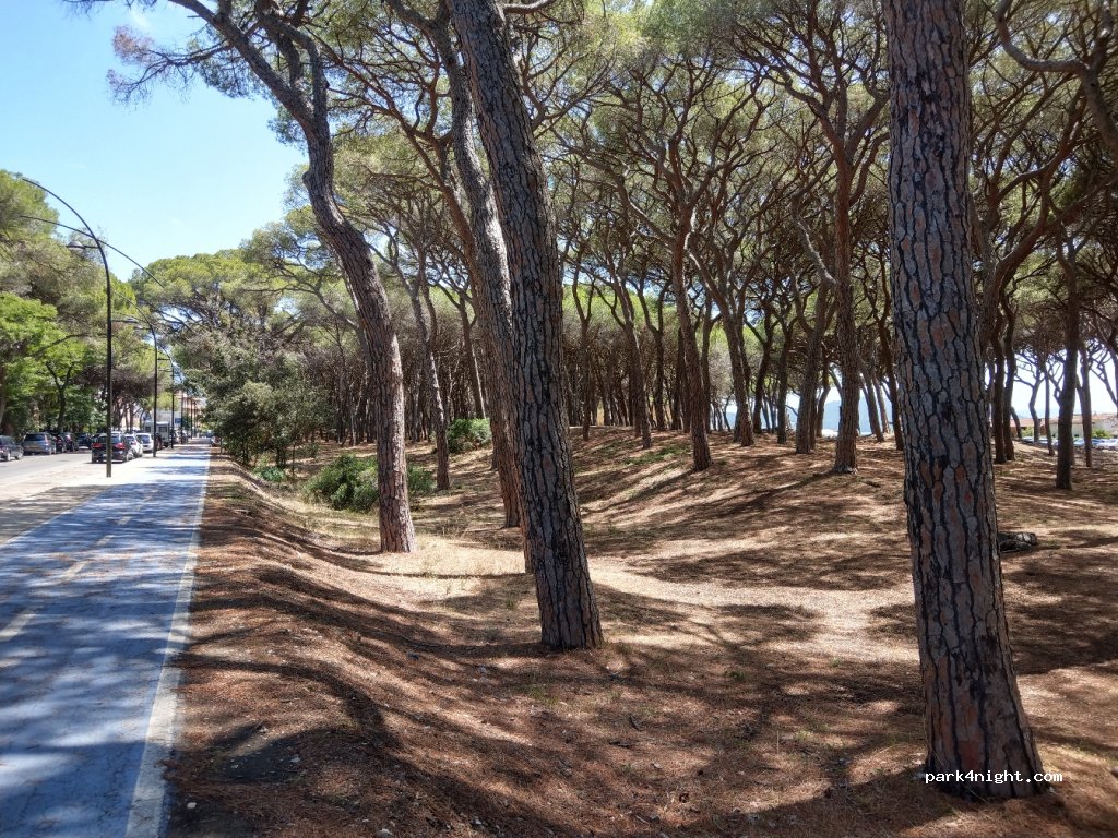 (58022) Follonica - Via della Repubblica — foto 2
