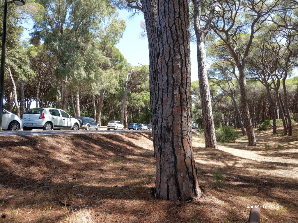 (58022) Follonica - Via della Repubblica — foto 3