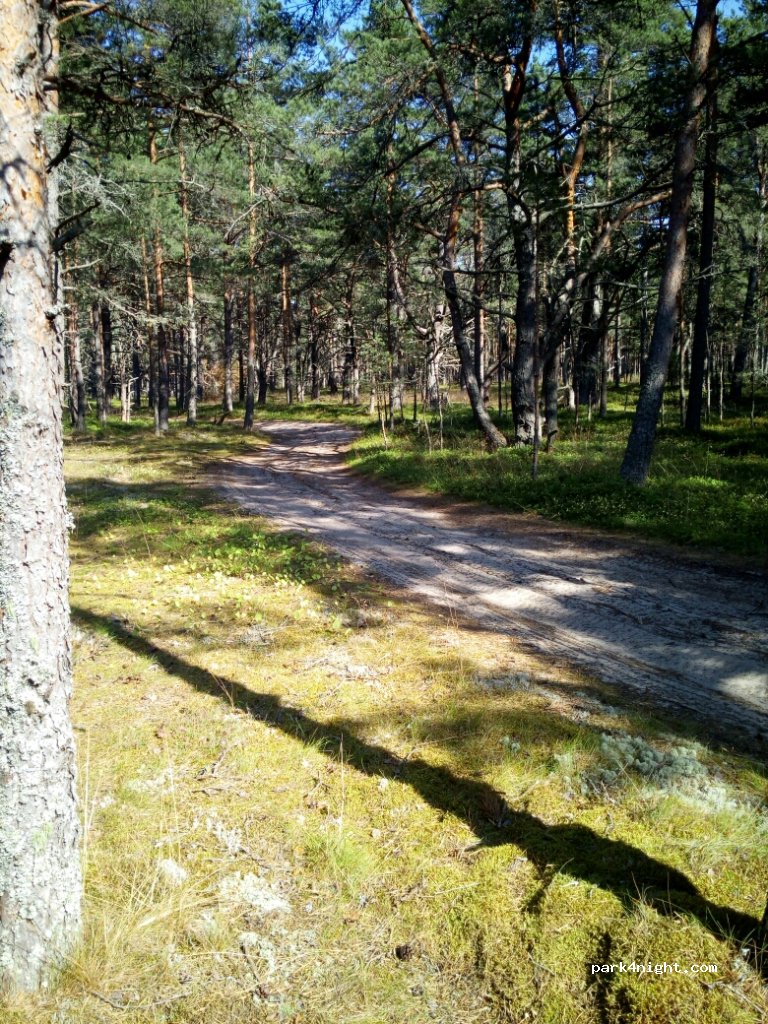 (74203)  - Unnamed Road — foto 2