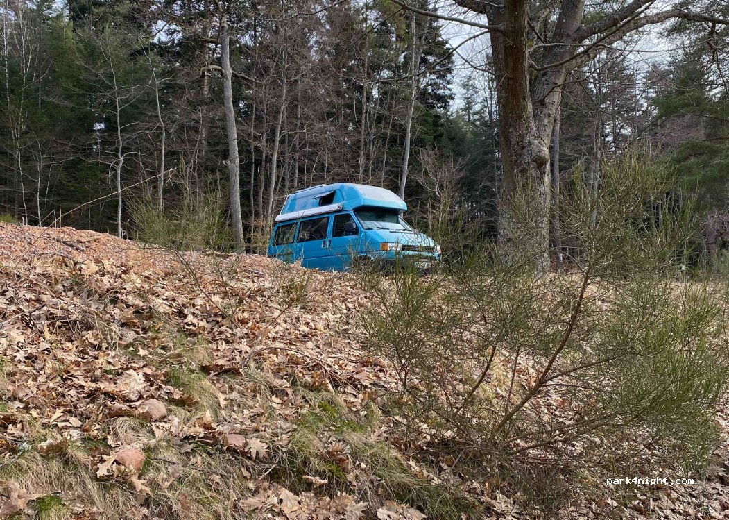 Forsthaus Annweiler — foto 2