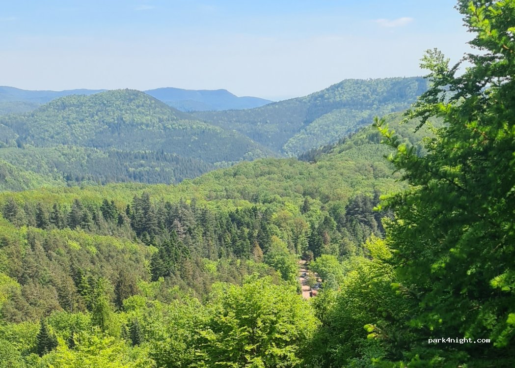 Forsthaus Annweiler — foto 3