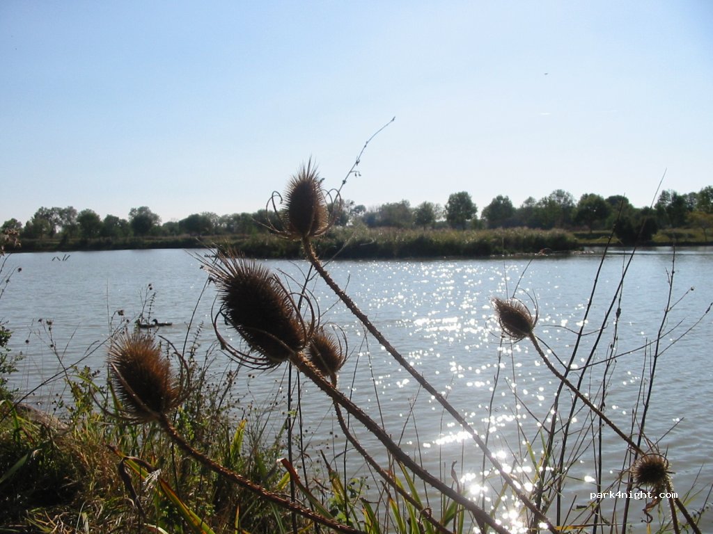 Camping du Lac de Saujon*** — foto